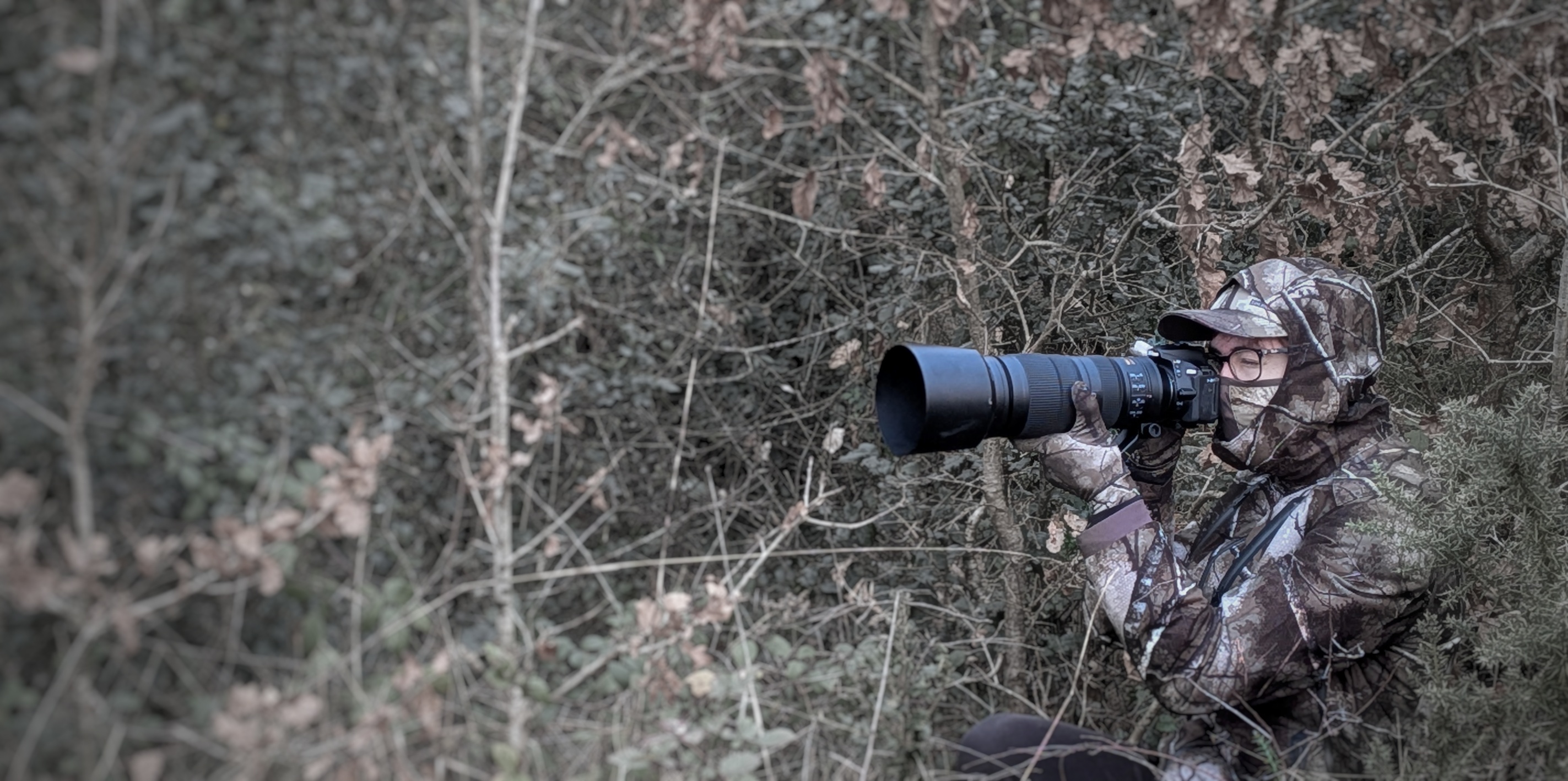 Diego Bonnamy Wildlife